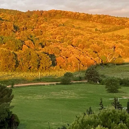 Bed & Breakfast L'ecrin Villelongue-d'Aude